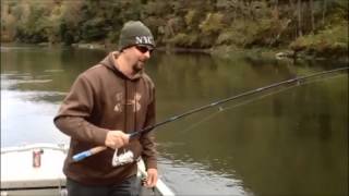 fishing allegheny river near TIDIOUTE Pennsylvania [upl. by Gorlin779]