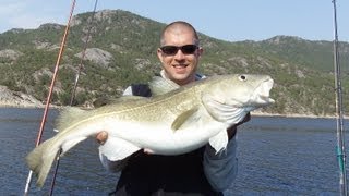 Live Bisse Dorsche überlisten bei wenig Drift Hitra Norwegen quotExitusFishingquot [upl. by Maurits]