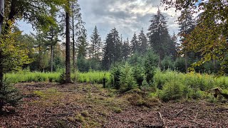 Trailrun Bennekom [upl. by Nathanson]