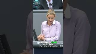 Alice Weidel Entlastung für Facharbeiter  Grundfreibetrag JETZT erhöhen [upl. by Hirst]