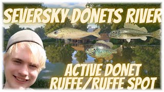 Russian Fishing 4 Seversky Donets River Donet RuffeRuffe Active Spot [upl. by Kanal311]