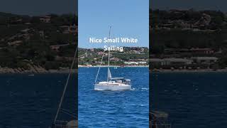 Small White Sailing trending viralvideo travel summer season adventure vacation 500subs [upl. by Jaala]