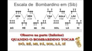 Mecânica Bombardino em Sib [upl. by Asirahc688]