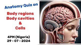 Anatomy and physiology quiz 003 [upl. by Enrobso186]