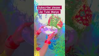 Meri Tulsi ke gamale pe tulsi tulsibhajan mamtatripathi  pahadi bhojpuri kartikbhajan subsplz [upl. by Ameehs]