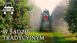 Opryskiwacz sadowniczy Agrola Power  sad tradycyjny Orchard sprayer [upl. by Lower]