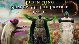 Elden Ring Shadow Of The Erdtree But Its CoOp [upl. by Acinorehs181]