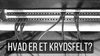 Hvad er et krydsfelt [upl. by Acisey]