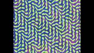 Animal Collective  Merriweather Post Pavilion [upl. by Polloch835]