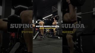 Como fazer Supino Inclinado Halter  How to Incline Dumbbell Bench Press [upl. by Chenay]