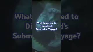 What Happened to the Submarine Voyage [upl. by Eeldarb73]