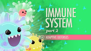 Immune System Part 2 Crash Course Anatomy amp Physiology 46 [upl. by Dickinson]