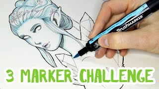 THREE Marker Challenge [upl. by Assirral336]