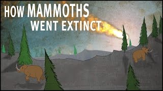 How Mammoths Went Extinct [upl. by Copp]