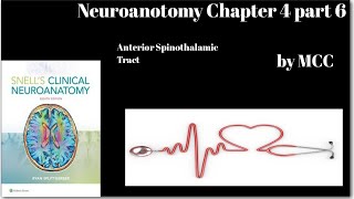 Neuroanatomy Chapter 4 part 6Anterior Spinothalamic TractCrude touch pathwayspinal lemniscus [upl. by Airamanna449]