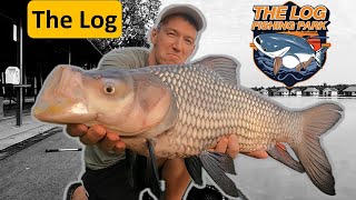 The Log Resort and Fishing Park Bangkok Siamese carp fishing in Thailand [upl. by Ontina1]