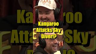 Shane Gillis reacts to Kangaroo attacking sky diver shanegillis joerogan kangaroo [upl. by Cran]