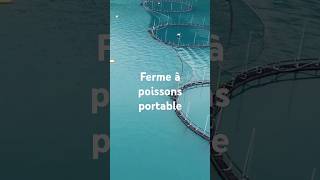 Réservoirs IBC  Ferme à Poissons Portable  🚚🐠 – Solution Rentable pour l’Élevage [upl. by Vivia447]