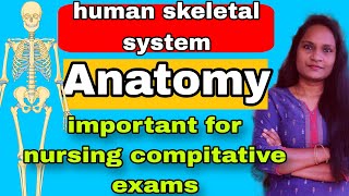 Human skeletal system anatomy ☠️☠️ important for all nursing compitative exams RRB l ESICNORCET [upl. by Javler]