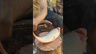 Amazing Skills Big Mrigal Fish Cutting By Expert Fish Cutter shortsvideo [upl. by Lattonia133]