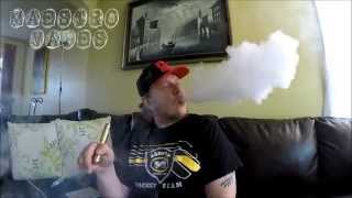 009 Ohm  20 Gauge Dual Coil Tutorial  Cotton Wick [upl. by Wilone]