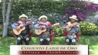 Conjunto Lazos de oro  Toro baile [upl. by Arihsat905]