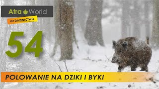 Polowanie na dziki i jelenie [upl. by Ani]