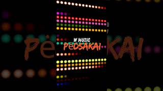 W Music  Pėdsakai Fragmentas muzika song [upl. by Bensky]