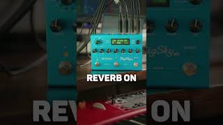 Strymon BigSky MX Cloud Reverb Nord stage 3 [upl. by Airretnahs]