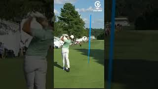 ASMR Golf Rory Mcilroy shorts [upl. by Gautea626]