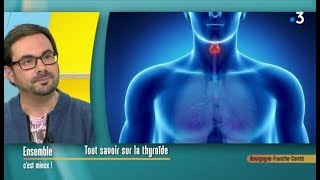 Tout savoir sur la thyroïde  Ensemble cest mieux [upl. by Nelubez648]