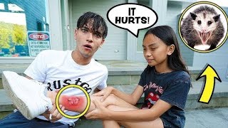 lucas and marcus  Our Little Sister Got ATTACKED By An OPOSSUM  Dobre Brothers [upl. by Eahsat]