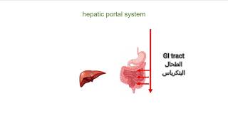 الجهاز الوريدي  فسيولوجي انتومي Portal Venous Systems Hepatic Portal System [upl. by Drofub128]