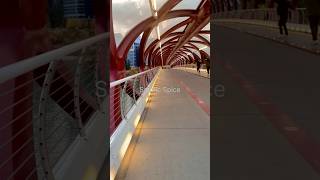 🇨🇦✨ Peace Bridge Magic in Calgary at Sunset 🌇🌉🚶‍♂️🌟 shorts canada [upl. by Elsi373]