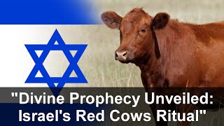 Secrets Unveiled Israels Red Cows Herald Temple Rebirth amp Messiahs Divine ArrivalThe Global Hour [upl. by Eillod]