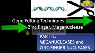 PART2 Meganuclease and Zinc Finger Nuclease GENE EDITING TECHNIQUE [upl. by Joel]