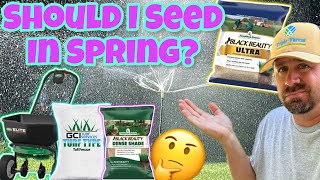 Should I Overseed My Fescue In Spring [upl. by Kelleher]