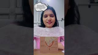 NORMAL DELIVERY EPISIOTOMY CARE डिलीवरी का छोटा चीरा shorts shortsfeed yt normaldeliverytips [upl. by Ferrigno]