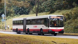 Best of SG Buses  ZF Ecomat [upl. by Dett]