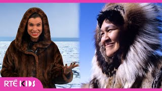 After School Hub  Learn About The Lives Of Inuit People ❄️  RTEKids [upl. by Sarchet]