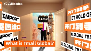 10 Years of Tmall Global Import Ecommerce with Leading Technology [upl. by Carlynne]