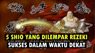 5 SHIO YANG DILEMPAR REZEKI SUKSES DALAM WAKTU DEKAT [upl. by Emee848]