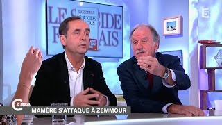 Ménard et Mamère sur Zemmour  C à vous  25112014 [upl. by Kneeland]