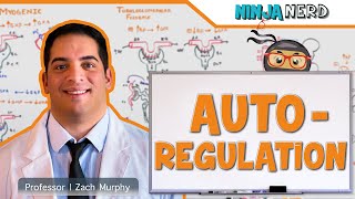 Renal  Autoregulation Updated [upl. by Wiersma]