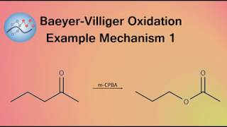 BaeyerVilliger Oxidation Example Mechanism 1  Organic Chemistry [upl. by Lashar638]