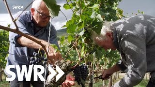 Spuren im Stein  Der Kaiserstuhl  SWR Geschichte amp Entdeckungen [upl. by Sandy]