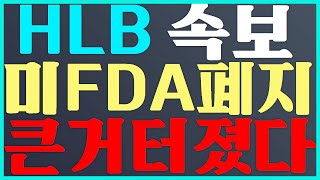 HLB 주가 전망 미 FDA 폐지 큰거 터졌다 에이치엘비 [upl. by Hna]