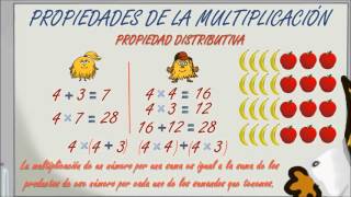 wwwmatecitoscom 4º Primaria Propiedades multiplicación conmutativa asociativa y distributiva [upl. by Landmeier]