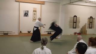 David Halprin Shihan  katatetori gyakuhanmi kiriotoshi [upl. by Eldnek82]