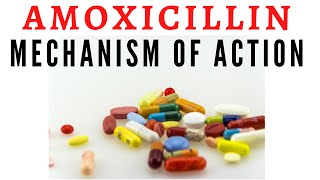 Amoxicillin  Mechanism of action side effects and uses [upl. by Anyela]